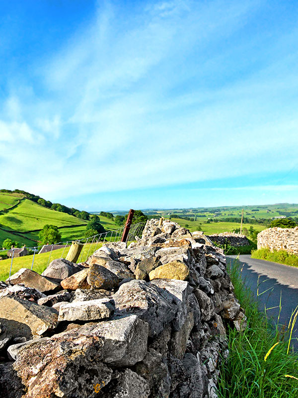 photograph of a country road next to a hilly region and a stone wall at the edge of the road